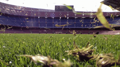 Camp Nou Grass GIF by FC Barcelona - Find & Share on GIPHY