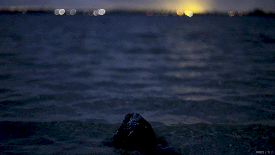 Living Stills nature rock cinemagraph lights