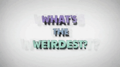 Toca Tv Thats Weird GIF by Toca Boca