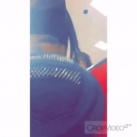 giphy.gif