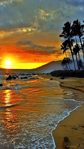 Scenery GIF - Find & Share on GIPHY