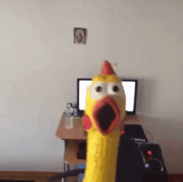 Woo Chicken in funny gifs