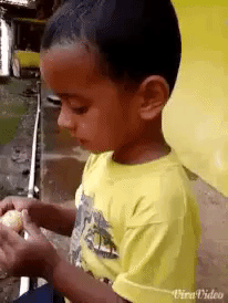 Instant Regret in funny gifs