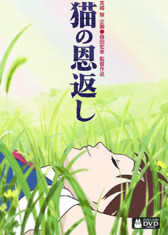 The Cat Returns Neko No Ongaeshi GIF by Maudit