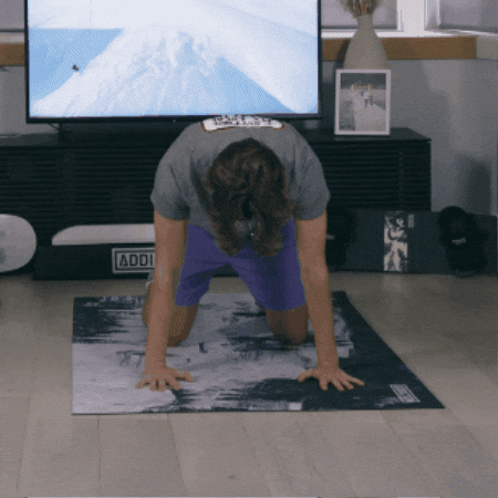 Cat-Cow Snowboard Addiction Workout