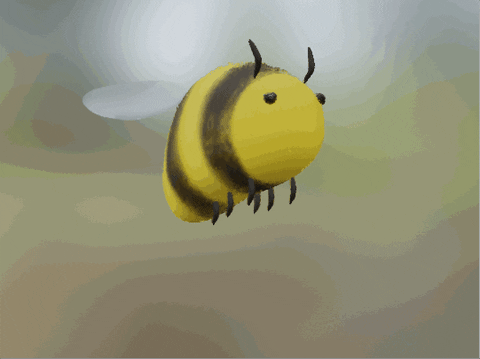 fly