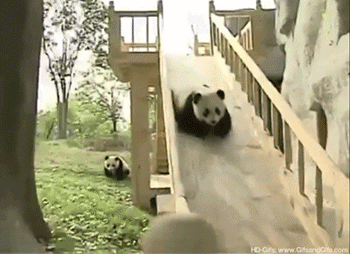 Panda sliding