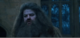 Hagrid says no.