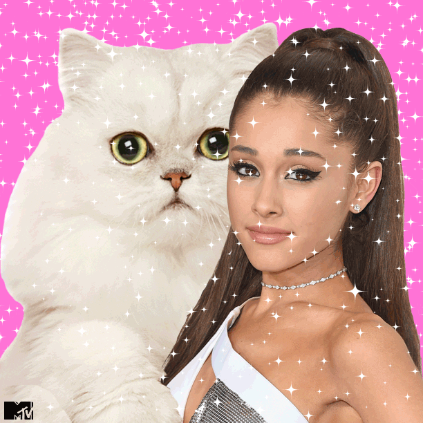 Ariana Grande Lol GIF by mtv Find & Share on GIPHY