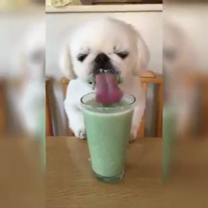 Image result for smoothie gif