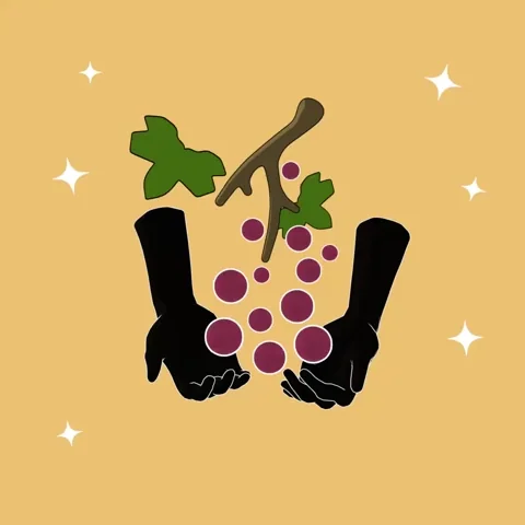 Two black hands cupping a bunch of purple grapes