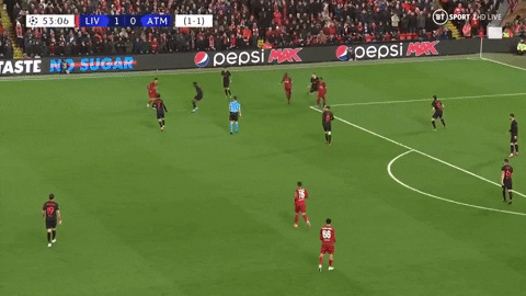 giphy.gif