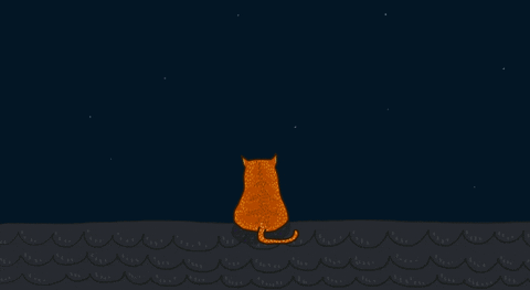 Cat Star GIF by haenaillust