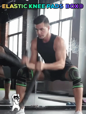 GIF animado