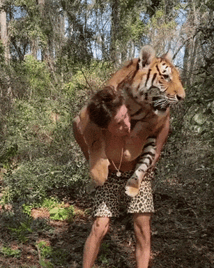 Carry me hooman in wow gifs