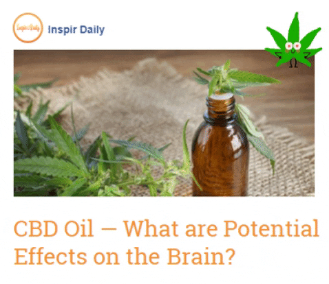 Health cannabis gif by gif find share on giphy