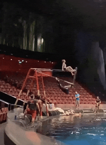 Trapeze artist in wow gifs