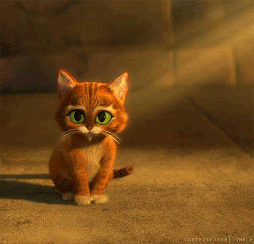 Baby Meow GIF - Find & Share on GIPHY