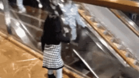 Cutest gif of the day