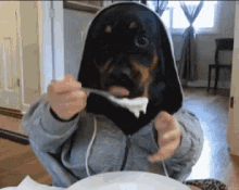 Just a doggo eating food in funny gifs