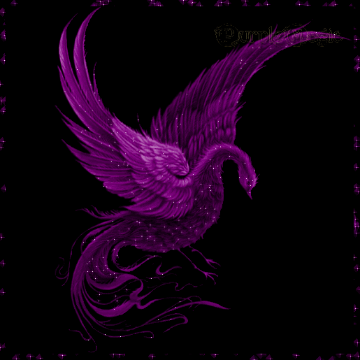 Image result for phoenix bird gif