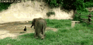 epic animated GIF