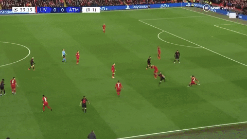 giphy.gif