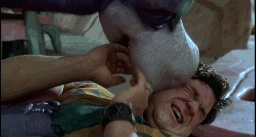 The Flintstones Dinosaur GIF