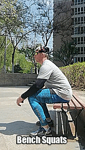 giphy.gif