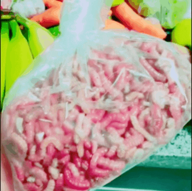 Hilo de mierda para las madrugadas de mierda
