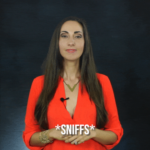 giphy-downsized-large.gif