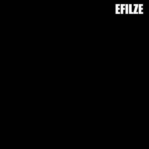EFILZE | EZ-LIFE - Pooper scooper with easy to use design
