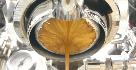 Espresso Mornings GIF Espresso Mornings GIF