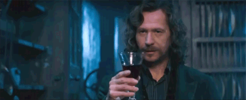 Sirius Black (Harry Potter film era) raising a glass of wine and winking