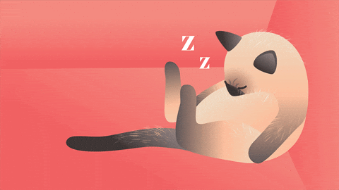 Zzz GIFs - Find & Share on GIPHY