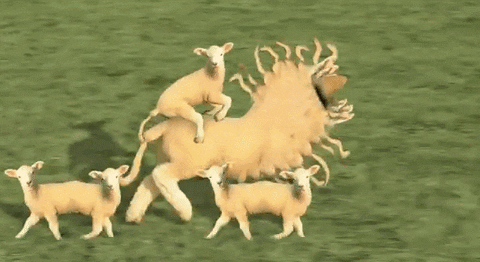 �ق̂ڂ̏E���摜3���� [���f�]�ڋ֎~]©2ch.net	YouTube����>2�{ ->�摜>1430�� 