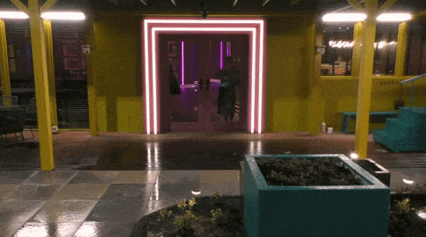 giphy-downsized-large.gif