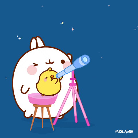 molang telescope