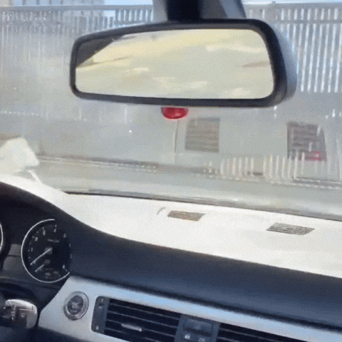 GIF Animado