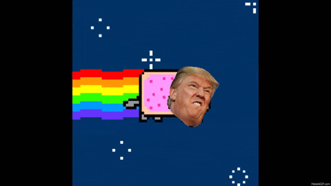 6 Meme Lucu Donald Trump Ini Bikin Ngakak Trending By