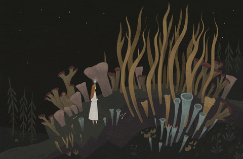 another witch gif for the book