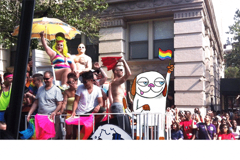 rjblomberg dog party gay rainbow