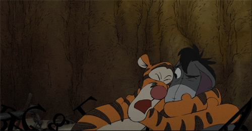 Tigger and Winnie the Pooh, a couple of cartoon characters hugging each other in a Quinceanera theme