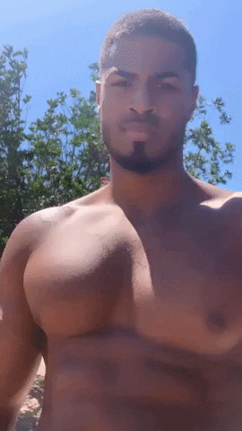 giphy.gif