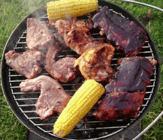 Sizzling barbecue on a green lawn
