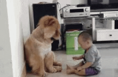 You touch me I touch you in funny gifs