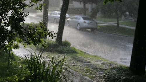 Rain Street GIFs - Find & Share on GIPHY