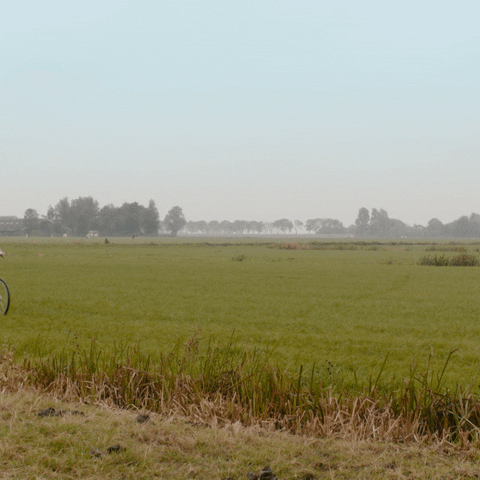 fietsvakantie Noord-Brabant 