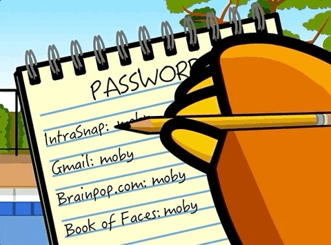illustration séparer ses usages informatiques pros et persos en utilisant des mots de passe différents pour chaque service
