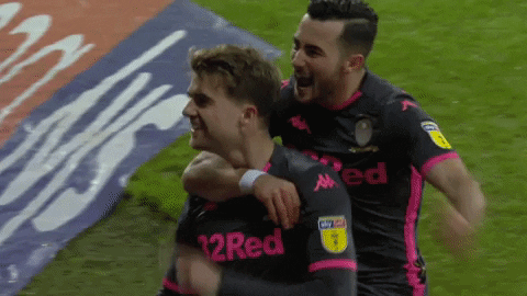 GIF by Leeds United
